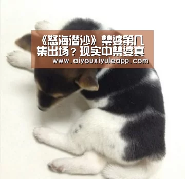 《怒海潜沙》禁婆第几集出场?现实中禁婆真的存在吗?【爱游戏下载】(图1) 爱游戏娱乐