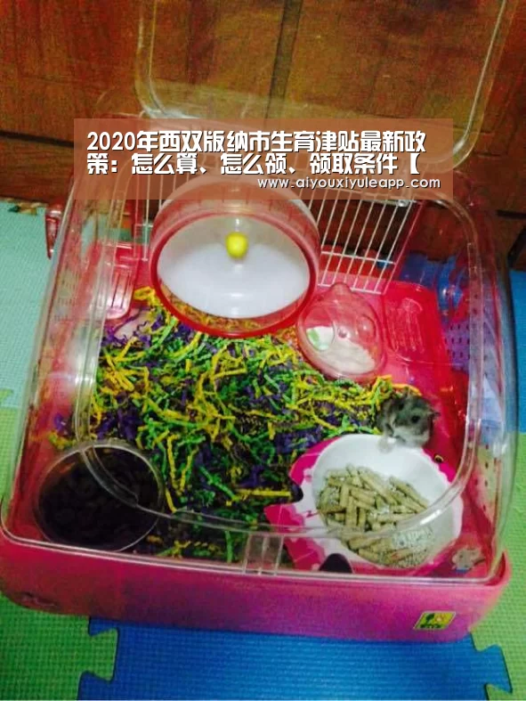 爱游戏电竞