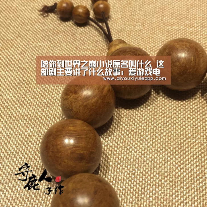 陪你到世界之巅小说原名叫什么 这部剧主要讲了什么故事:爱游戏电竞(图2) 爱游戏电竞