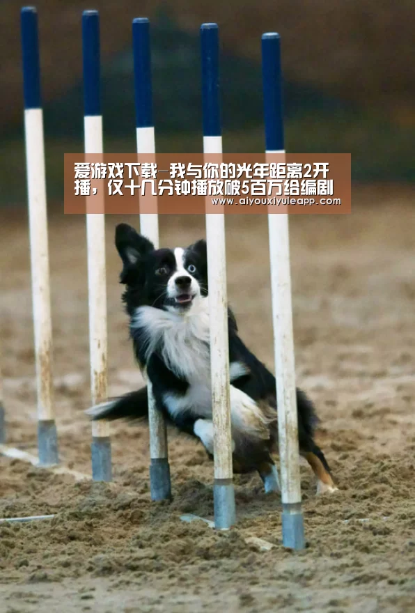 爱游戏下载-我与你的光年距离2开播,仅十几分钟播放破5百万给编剧鼓掌(图2) 爱游戏竞猜